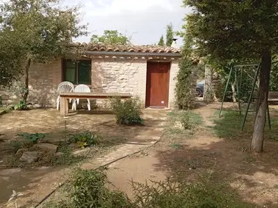 GardenSummer