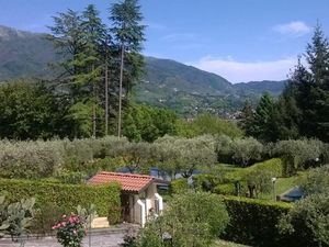 23303570-Ferienwohnung-6-Camaiore-300x225-5