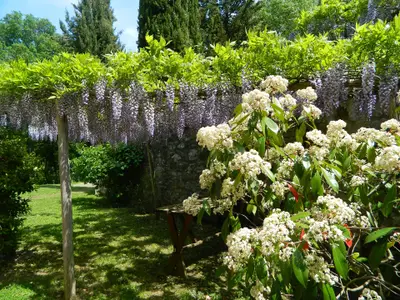 Bild 8