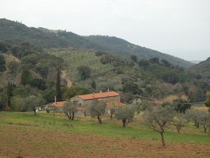 Ferienwohnung für 5 Personen (80 m&sup2;) in Campiglia Marittima