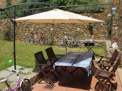 GardenSummer