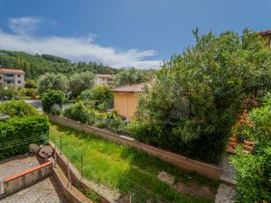 23453824-Ferienwohnung-6-Campo nell'Elba-300x225-3