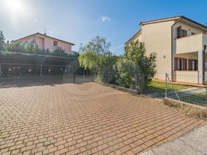 Ferienwohnung für 4 Personen (48 m²) in Campo nell'Elba