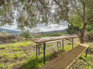 23924464-Ferienwohnung-4-Campo nell'Elba-300x225-2