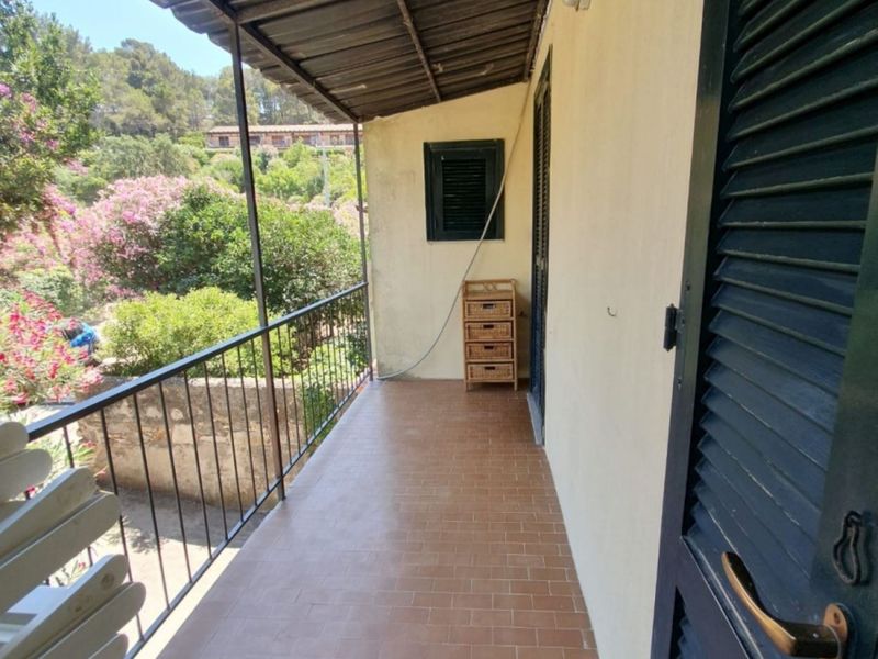 23482844-Ferienwohnung-6-Campo nell'Elba-800x600-1