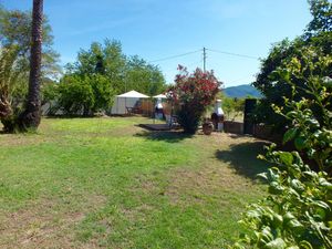 23076629-Ferienwohnung-6-Campo nell'Elba-300x225-1