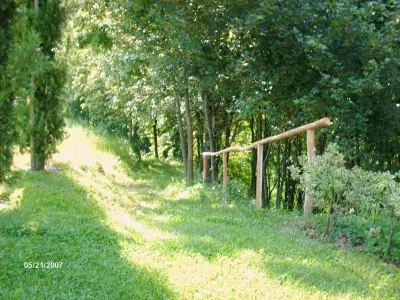 Fußweg in den Wald