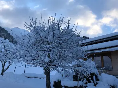 Ferienwohnung für 9 Personen in Camuns 5/10