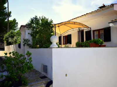Ferienwohnung für 6 Personen (70 m²) in Can Picafort 9/10
