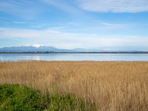 23838313-Ferienwohnung-5-Canet-Plage-300x225-5