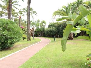 23545093-Ferienwohnung-4-Cannes-300x225-2