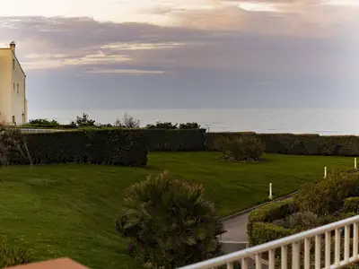 ViewSummer
