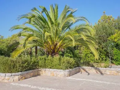 Ferienwohnung für 6 Personen (90 m²) in Capo Comino 5/10