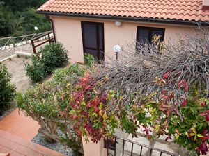 23701173-Ferienwohnung-6-Capoliveri-300x225-4