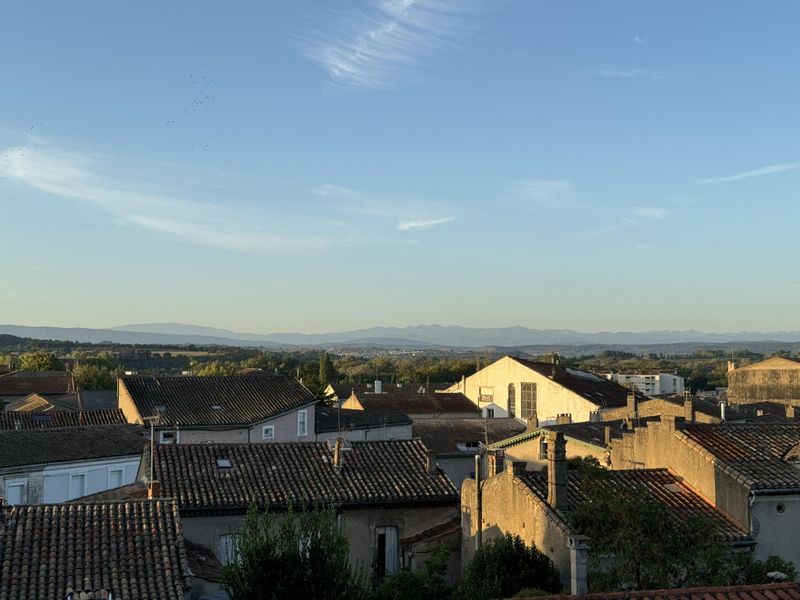 23916833-Ferienwohnung-4-Carcassonne-800x600-1