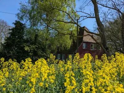 Ferienwohnung für 2 Personen (35 m²) in Carinerland 2/10