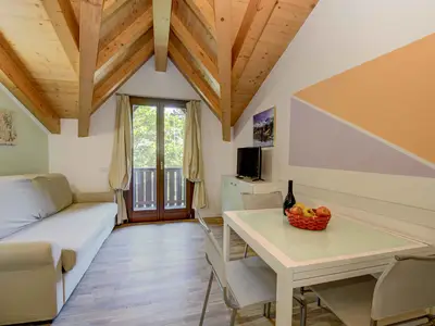 Ferienwohnung für 2 Personen (22 m²) in Carisolo 10/10
