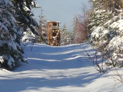 Am Hirschkopf