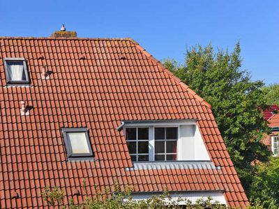 Ferienwohnung für 3 Personen (60 m²) in Carolinensiel 10/10