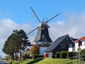 Ferienwohnung für 2 Personen (50 m²) in Carolinensiel