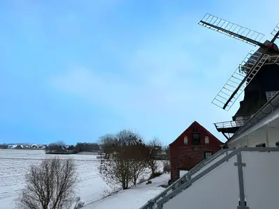 Ferienwohnung für 5 Personen (63 m²) in Carolinensiel 2/10