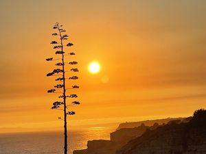 24023075-Ferienwohnung-4-Carvoeiro-300x225-1