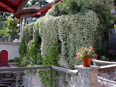 Gartensicht Nord-West