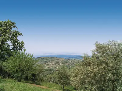 view-from-room