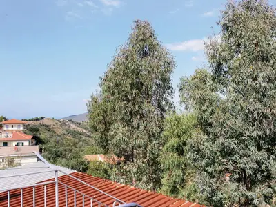 view-from-room