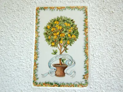 Ferienwohnung für 4 Personen (45 m²) in Castellabate 8/10