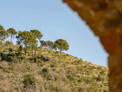 Ferienwohnung für 3 Personen (56 m²) in Castellabate 2/10