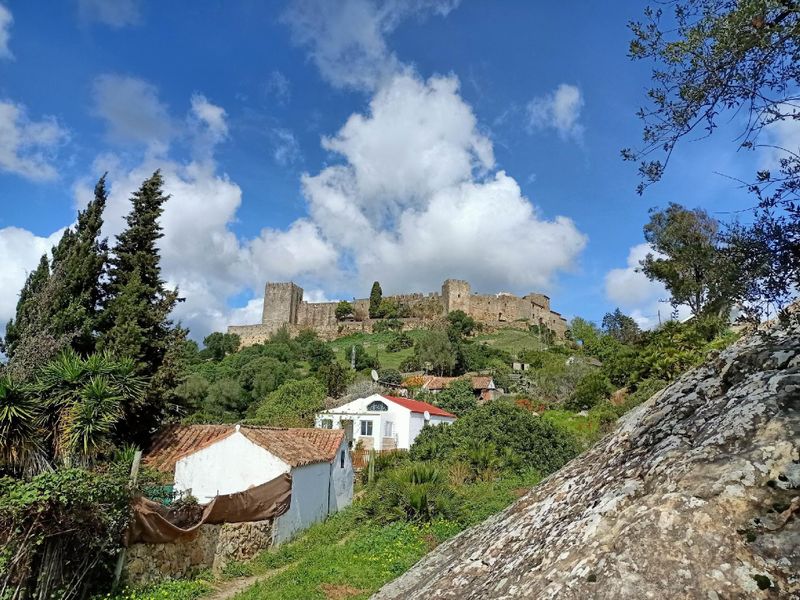 23371636-Ferienwohnung-4-Castellar De La Frontera-800x600-0