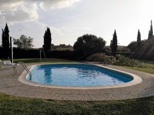 23081093-Ferienwohnung-5-Castellina Marittima-300x225-4