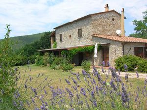 Ferienwohnung für 2 Personen (30 m&sup2;) in Castellina Marittima