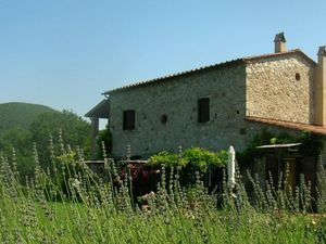 23034011-Ferienwohnung-2-Castellina Marittima-300x225-1