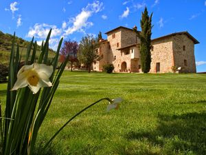 19103728-Ferienwohnung-12-Castelnuovo Berardenga-300x225-1