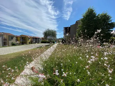 Ferienwohnung für 6 Personen (35 m²) in Castelnuovo Del Garda 9/10