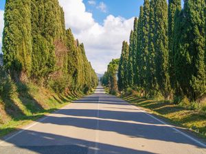 24002845-Ferienwohnung-3-Castelnuovo di Val di Cecina-300x225-4