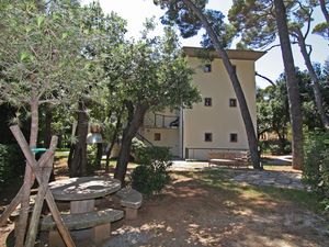 22923725-Ferienwohnung-6-Castiglioncello-300x225-5