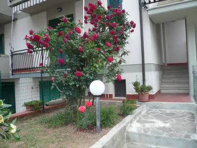 Bild 2