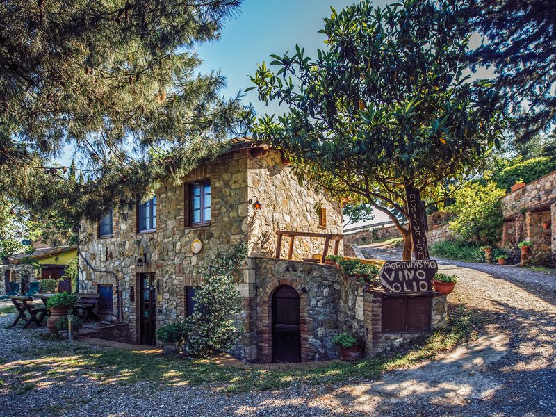 24024919-Ferienwohnung-4-Castiglione D'Orcia-800x600-0