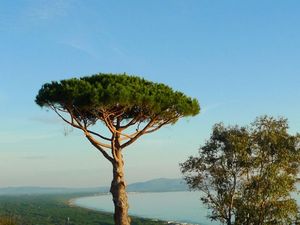 Ferienwohnung für 4 Personen (70 m&sup2;) in Castiglione Della Pescaia