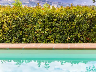 Ferienwohnung für 4 Personen (50 m²) in Castiglione Della Valle 10/10