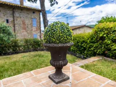 Ferienwohnung für 2 Personen (50 m²) in Castiglione Della Valle 7/10