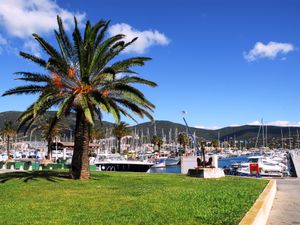 23844861-Ferienwohnung-4-Cavalaire-sur-Mer-300x225-5