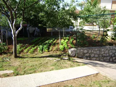 Ferienwohnung für 4 Personen (34 m²) in Čavle 2/10