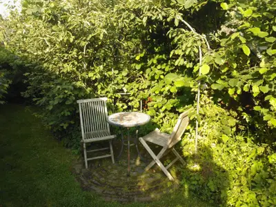 Ferienwohnung für 4 Personen (30 m²) in Celle 10/10