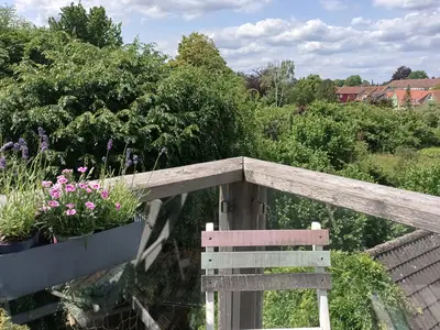 Ausblick vom Balkon