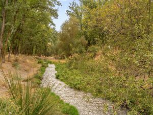 24055110-Ferienwohnung-4-Cenes de la Vega-300x225-5