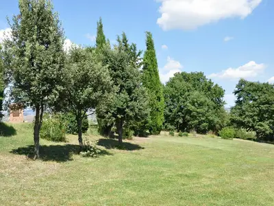 Bild 7 Bild 7